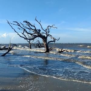 Meet your Posher, Bill